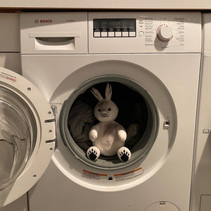 Clean Laundry, Clean Planet
